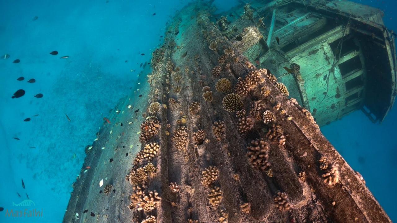 Masfalhi View Inn Felidhoo Εξωτερικό φωτογραφία
