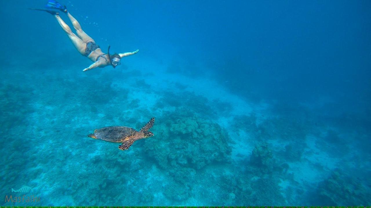 Masfalhi View Inn Felidhoo Εξωτερικό φωτογραφία