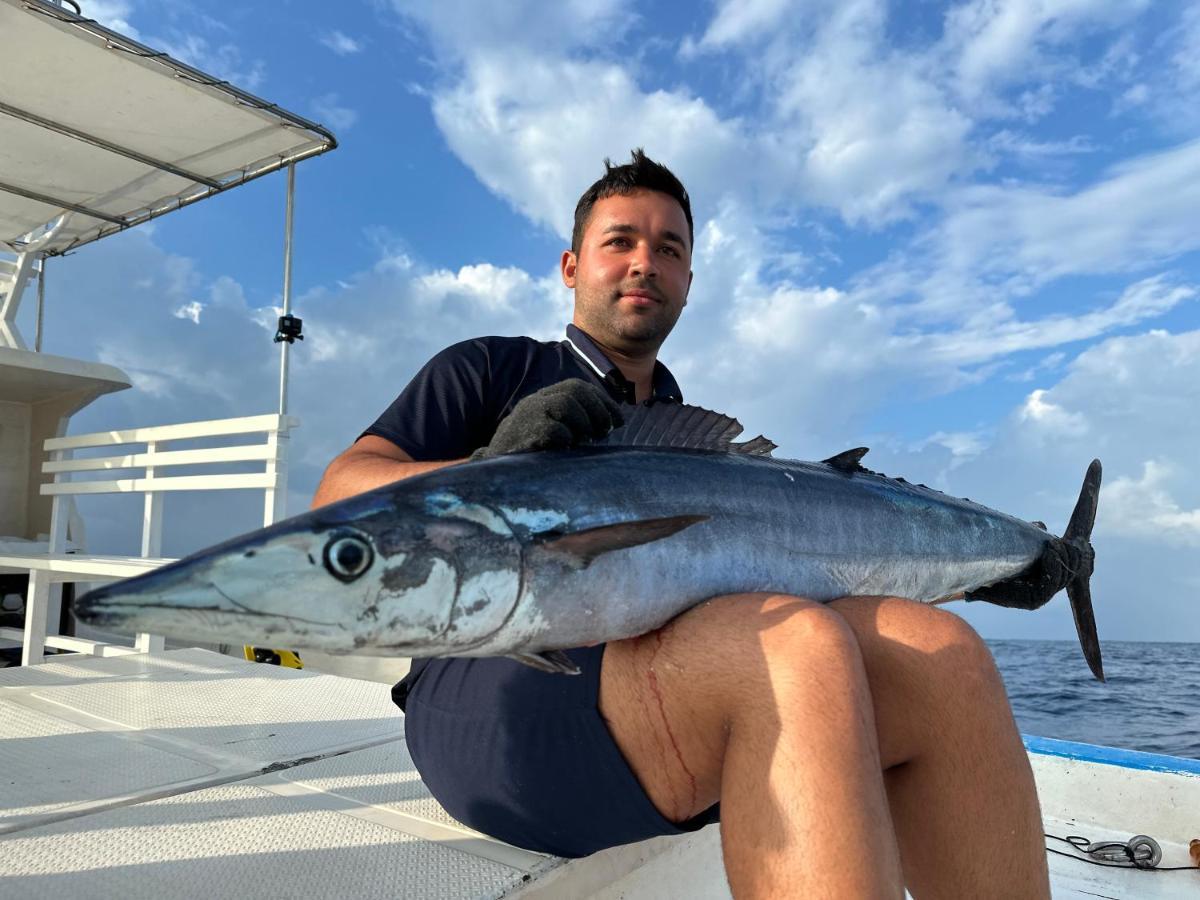 Masfalhi View Inn Felidhoo Εξωτερικό φωτογραφία